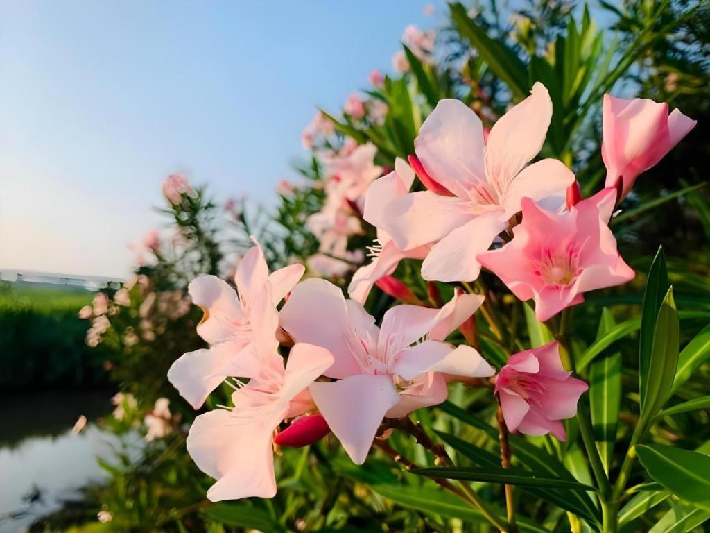 Pingview Villa Resort Tak Dış mekan fotoğraf